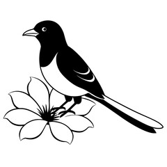 bird set flower line art vector illustration
