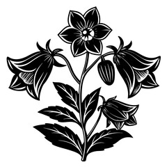 canter bury bells flower vector  silhouette illustration
