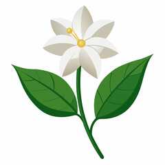 Jasmine vector artwork and svg file