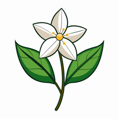 Jasmine vector artwork and svg file