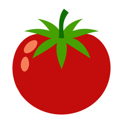tomato vector artwork illustration svg file