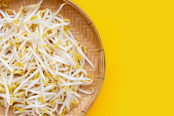 Bean sprouts on yellow background