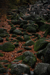 Ein Meer aus Steinen