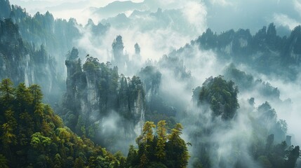 mountain view with forests and rocks and fog