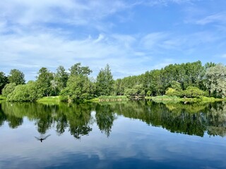 Beautiful tender blue sky reflection on the lake surface, trees silhouettes reflection on the lake surface, summer lake in the park