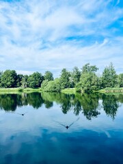 Beautiful tender blue sky reflection on the lake surface, trees silhouettes reflection on the lake surface, summer lake in the park