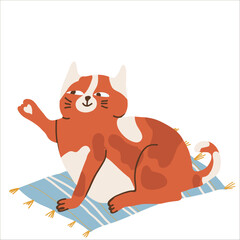Red funny cat in white spot, hand drawn vector illustration isolated on white background.