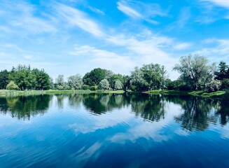 Fototapeta premium Beautiful tender blue sky reflection on the lake surface, trees silhouettes reflection on the lake surface, summer lake in the park