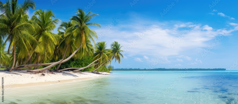Poster beautiful tropical scenery in natural island environment of tall palm trees growing on the seashore 