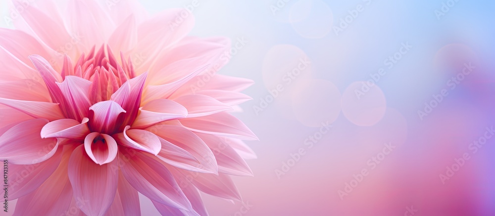 Poster abstract blur background for web design pink flower colorful blurred wallpaper. creative banner. cop