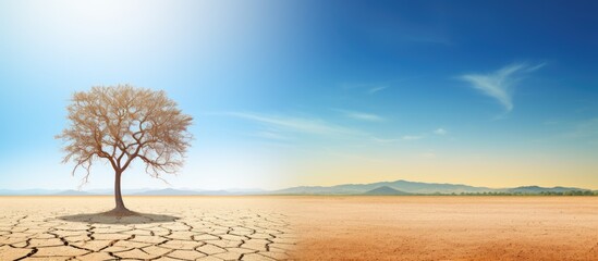 Low Angle View Tropical temperature of 34 degrees Celsius measured on an outdoor thermometer Sun shining in summer show higher Weather concept global warming climate change. Creative banner