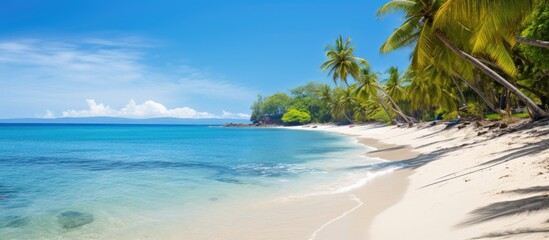 Fototapeta premium Nature landscape view of beautiful tropical beach and sea in sunny day Beach sea space area. Creative banner. Copyspace image