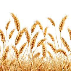 Golden wheat stalks stand tall against a black background. The image is perfect for agriculture, food, and harvest themes.