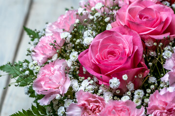 バラの花　マクロイメージ