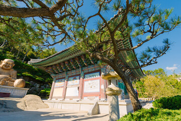 the Haedong Yonggungsa Temple in Busan, Korea, bustling with visitors amidst the tranquil temple...