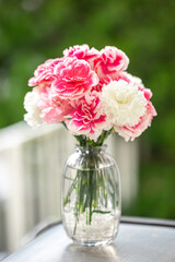 カーネーションの花