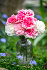 カーネーションの花