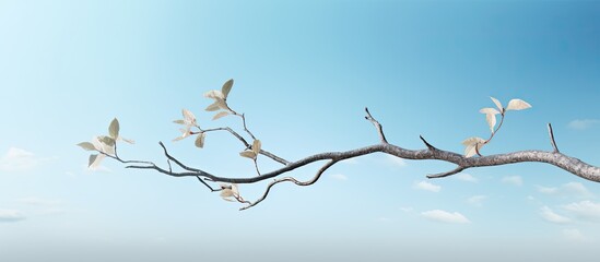 Tree s branch with cloud. Creative banner. Copyspace image