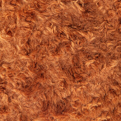 Bear fur texture as an abstract background.
