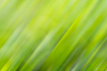 Colorful motion blur background, art background, wallpaper art, design background.
