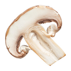 Fototapeta premium Mushroom Isolated on a Transparent Background