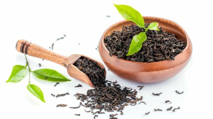 Aromatic Black Tea Leaves in a Wooden Bowl With Fresh Tea Sprigs
