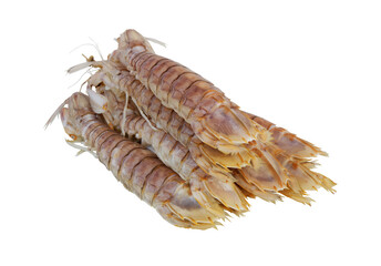 Raw mantis shrimps isolated on white