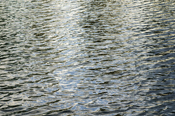 The texture of ripples on the water in a pond illuminated by the setting sun. Natural background.