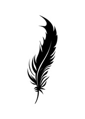 Obraz premium Feather vector icon isolated on white background