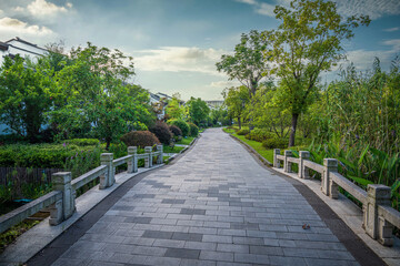 Tranquil Park Pathway under Blue Sky