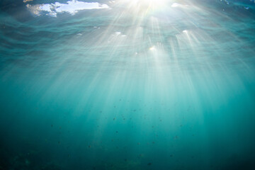 Beautiful sun beam underwater in the ocean.