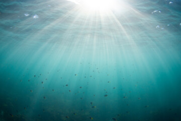 Obraz premium Beautiful sun beam underwater in the ocean.