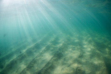 Fototapeta premium Sandy ocean floor with beautiful sunlight.