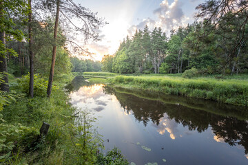 A peaceful river flows through a lush forest, reflecting the clouds and sky in its calm waters at dusk.