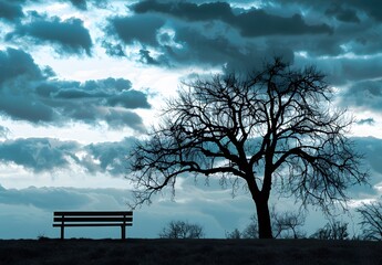 Silhouette of Leafless Tree and Bench Against Dark Blue Sky