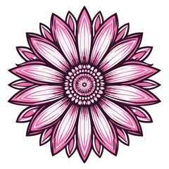 Stylized pink flower mandala silhouette isolated on transparent background