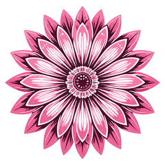 Stylized pink daisy flower silhouette isolated on transparent background