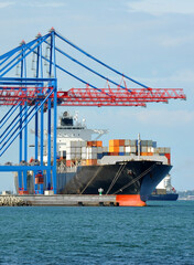 Container ship under port crane