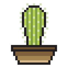 Cactus in pot in pixel art style