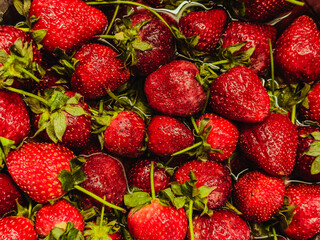 A close up on freshly picked strawberries