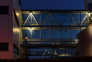 ARCHITECTURE - Modern buildings connected by a glass and steel bridge with preventive bird pictograms on transparent walls
