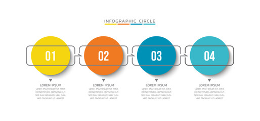 Vector infographics business template design