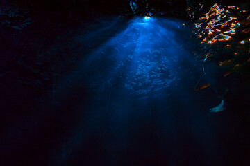 Light shining through dark water.  Depths of murky water, creating an ethereal ambiance