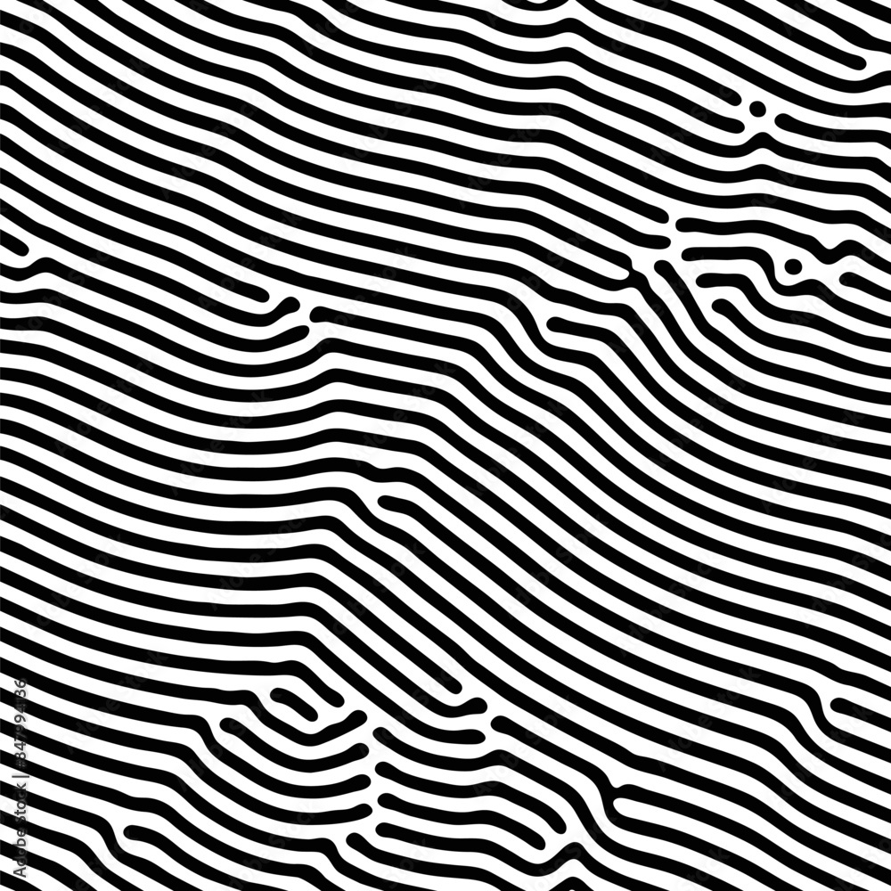 Poster Abstract background of vector organic irregular lines maze pattern