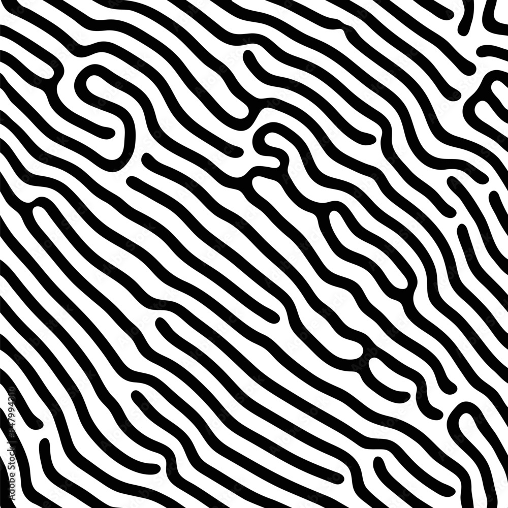 Poster Abstract background of vector organic irregular lines maze pattern