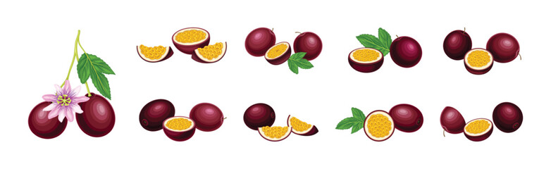 Purple Passionfruit Cut Halves with Sweet Pulp Vector Set