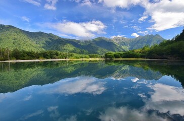 Fototapeta premium 上高地・大正池の夏景色