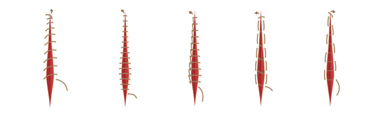 Baseball Stitches and Red Lace with Loop of Thread Isolated on White Background Vector Set