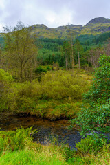 Landscape near Loch Long