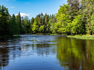 Obraz premium Sunrise morning in a beautiful river area in Farnebofjarden national park in north of Sweden